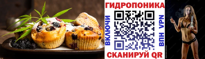 Купить где  Салаир  Canna-Cookies марихуана 
